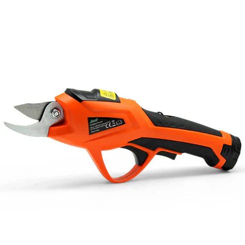 Branch Scissors - My Store