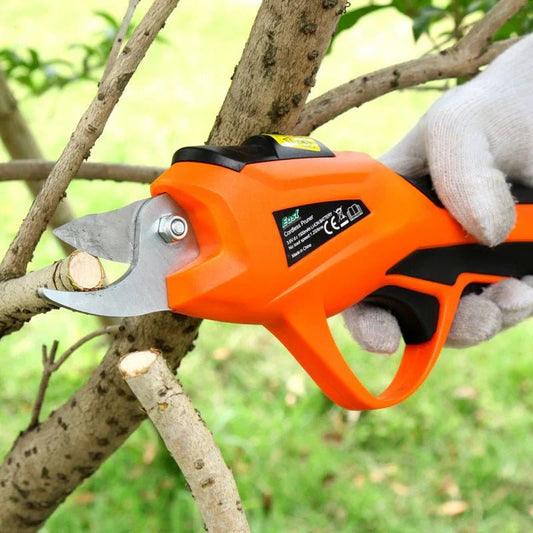 Branch Scissors - My Store